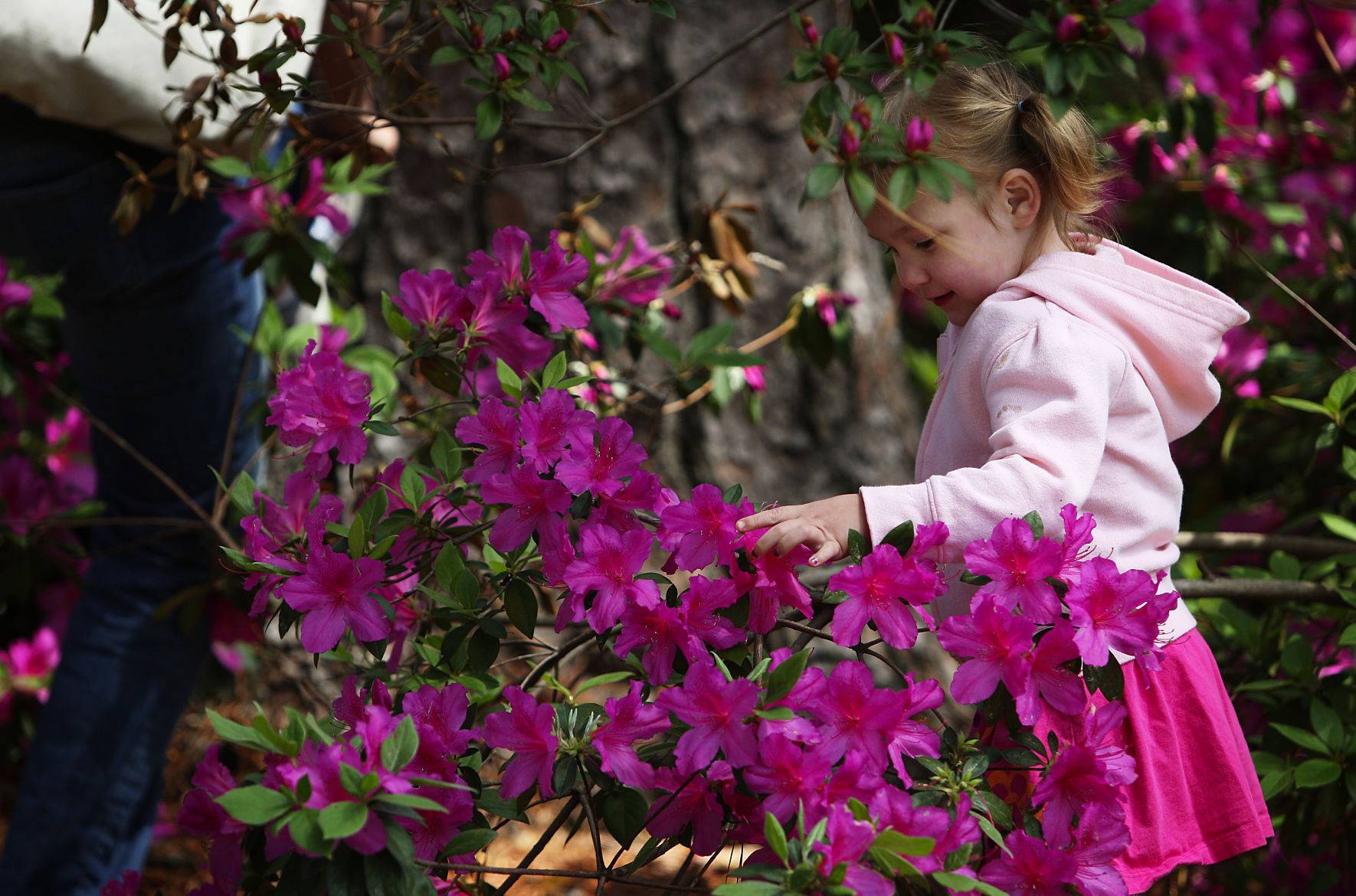 Flowertown flowers child (copy)
